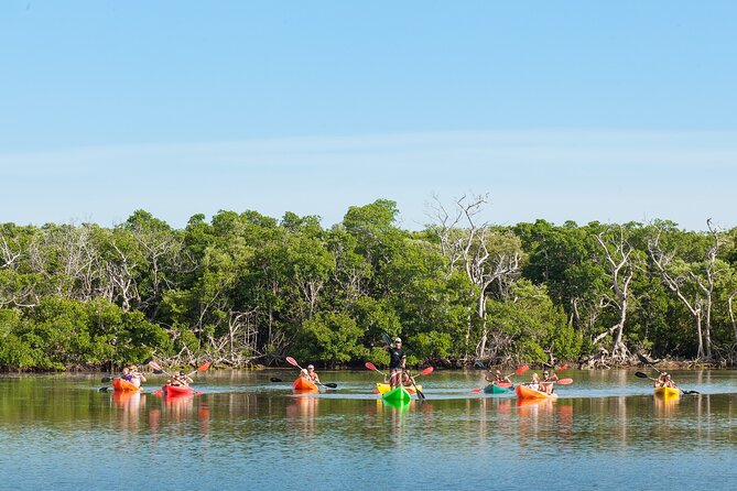 Half-Day Morning Trip from Key West with Kayaking and Snorkeling - Getting Started: Gear, Wetsuits, and the Crew Briefing