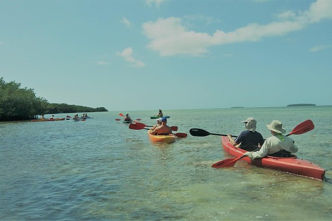 Half-Day Trip from Key West with Kayaking, Snorkeling & Sunset - Key Points at a Glance
