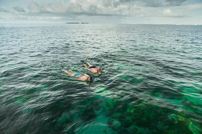 Half-Day Trip from Key West with Kayaking, Snorkeling & Sunset - The Flow of the Day (4 Hours 30 Minutes, Approx.)