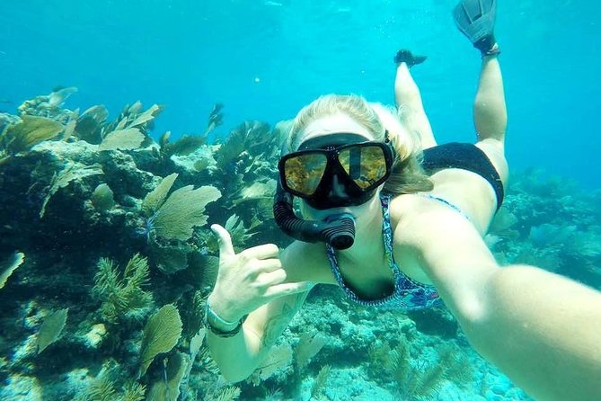 Half-Day Trip from Key West with Kayaking, Snorkeling & Sunset - Stop 1: Florida Keys National Marine Sanctuary (Snorkeling + Kayaking)