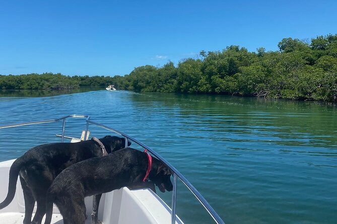 Island Hop Sandbar Adventure - Island Hop and Sandbar Time: The Basic Idea