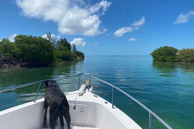 Island Hop Sandbar Adventure - Island Hopping Without the Rush: How to Make the Most of the Stops