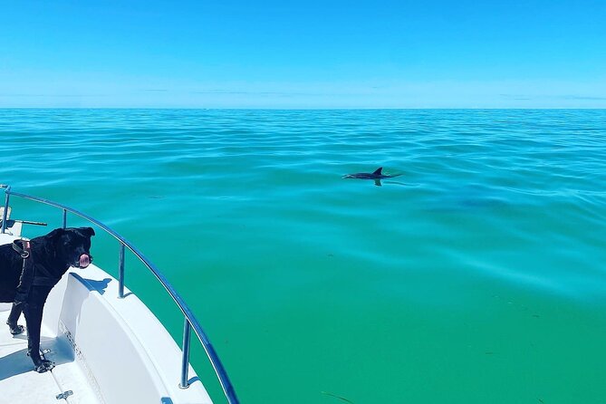 Island Hop Sandbar Adventure - Full-Day (8 Hours) vs 4-Hour Charter: Choose Your Pace