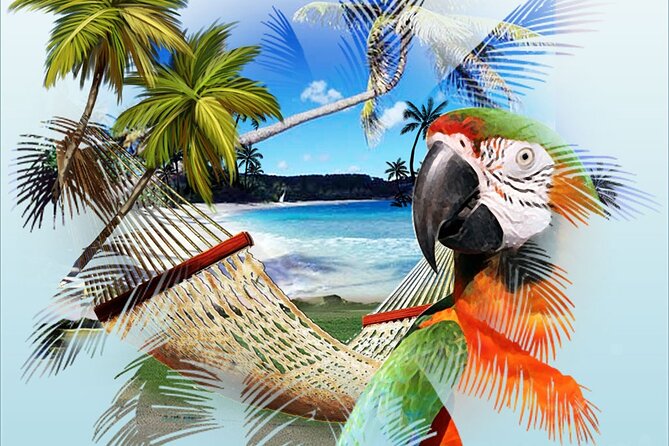 Jimmy Buffett Tour - How much is it, and is $79 a good deal for what you get?