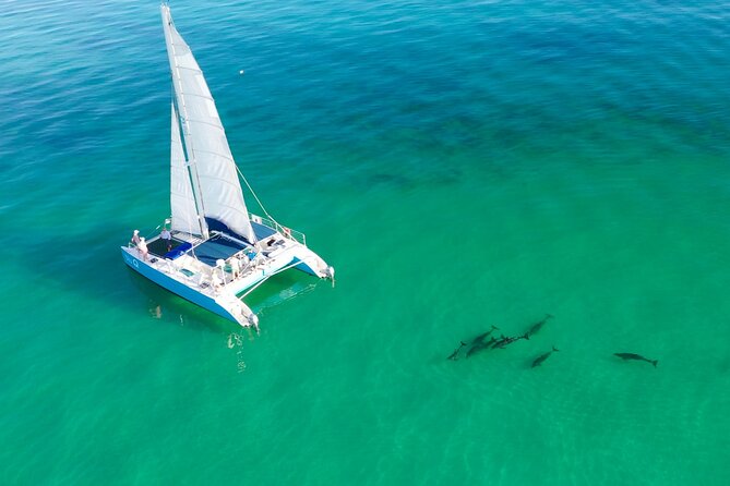 Kayak + Guided Snorkel & Morning Sail hosted by Honest Eco - Key West Mangroves, Kayaks, and Snorkel Time in One Flow