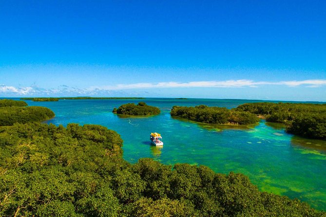 Kayak + Guided Snorkel & Morning Sail hosted by Honest Eco - Snorkel Spot Choice: Calm Water, Coral Heads, and a Guide Who Points Things Out
