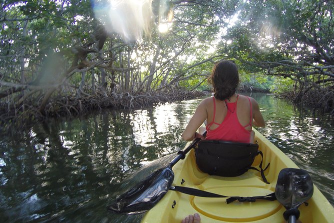 Kayak + Guided Snorkel & Morning Sail hosted by Honest Eco - Morning Sail Time: Relax, Learn, and Watch for Dolphins and More