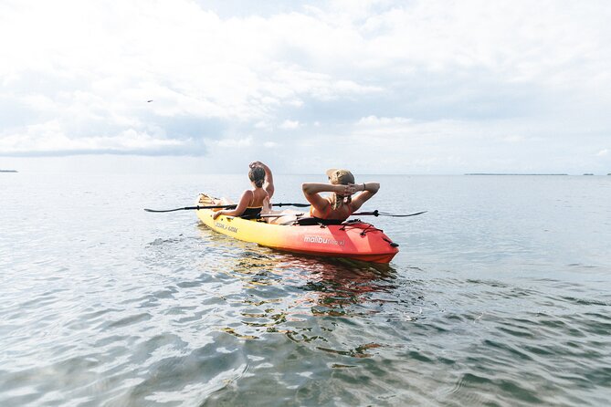 Kayak + Guided Snorkel & Morning Sail hosted by Honest Eco - Mangroves Beyond Key West: Tandem Kayaking Through a Wildlife Refuge
