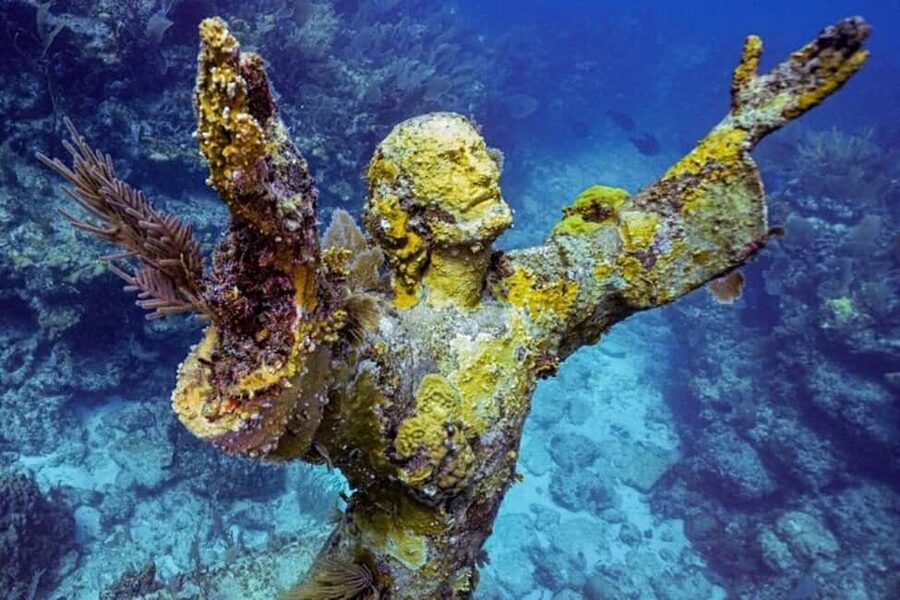 Key Largo: Snorkeling Trip - Why Key Largo’s Coral Reef Snorkel Feels Different