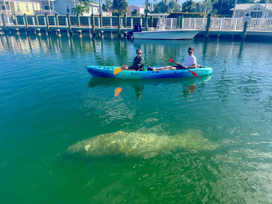 Key West: 2-hour Mangrove Kayak Tour - Key Highlights You Should Care About