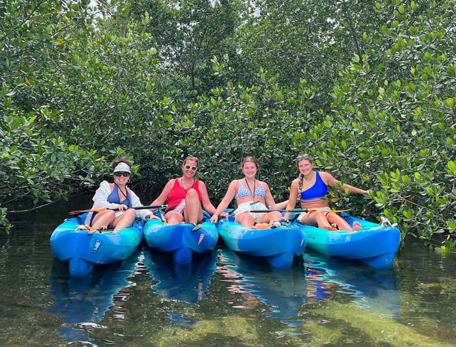 Key West: 2-hour Mangrove Kayak Tour - What Happens During Those 2 Hours on the Water