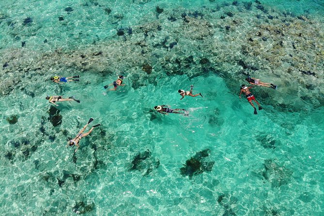Key West 2 Reef Snorkel Tour & Sunset Cruise with Beer & Wine - Snorkeling Here: Beginner Friendly, but Not Mandatory