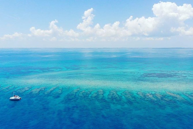 Key West 2 Reef Snorkel Tour & Sunset Cruise with Beer & Wine - Drinks Included: Beer, Wine, Champagne, and What to Expect
