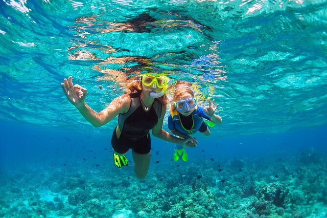 Key West 2 Reef Snorkel Tour & Sunset Cruise with Beer & Wine - The Boat: The Miss Valyn and the Feel of a Real Catamaran