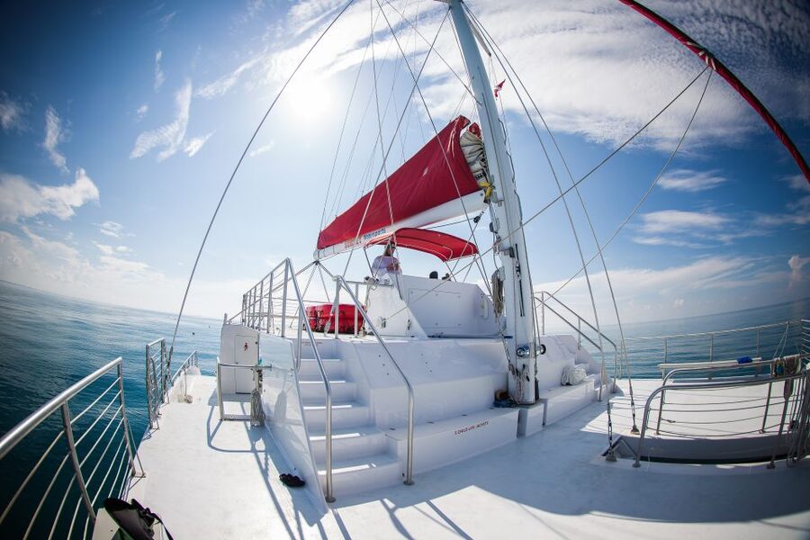 Key West: 3-Hour Afternoon Reef Snorkel with Drinks - Key West Reef Snorkel: What You’re Actually Buying