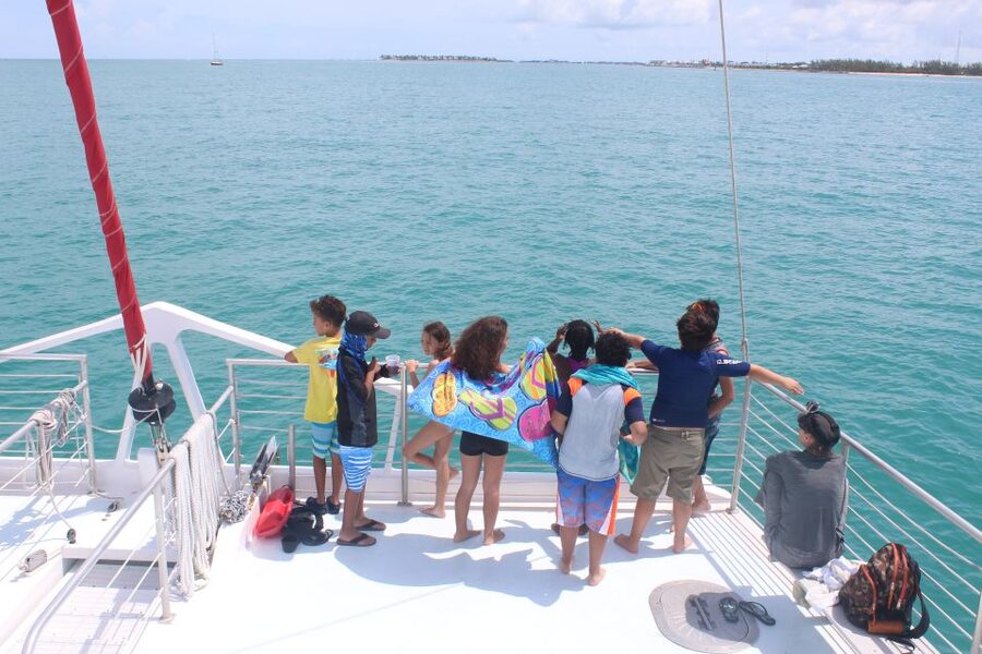 Key West: 3-Hour Afternoon Reef Snorkel with Drinks - Who This Tour Fits Best (and Who Might Want to Think Twice)