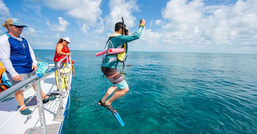 Key West: Afternoon Reef Snorkel Tour with Open Bar - Key Points Worth Knowing