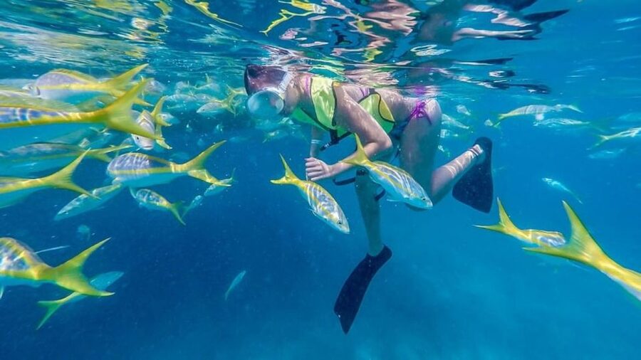Key West: Afternoon Reef Snorkel Tour with Open Bar - Why This Afternoon Reef Snorkel Feels Like Vacation