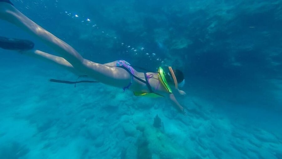 Key West: Afternoon Reef Snorkel Tour with Open Bar - Gear, What to Bring, and How to Not Get Caught Off Guard