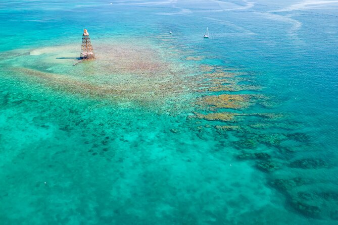 Key West Afternoon Reef Snorkeling with Open Bar - Key High Points to Know Before You Go