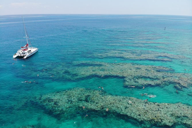 Key West Afternoon Reef Snorkeling with Open Bar - Snorkeling Gear and Fit: The Stuff That Makes or Breaks Comfort