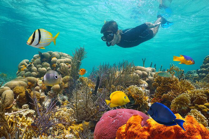 Key West Afternoon Reef Snorkeling with Open Bar - The Ride Out: How the Timing Plays Out on the Water