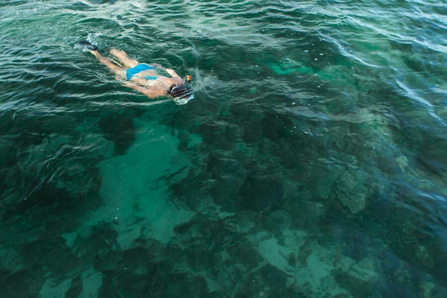 Key West Afternoon Sail, Snorkel, Kayak & Sunset Excursion - Snorkeling the Florida Keys waters with top-notch gear