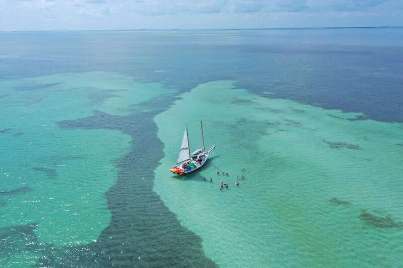 Key West Afternoon Sail, Snorkel, Kayak & Sunset Excursion - Eco guide learning: Key West National Wildlife Refuge in plain language