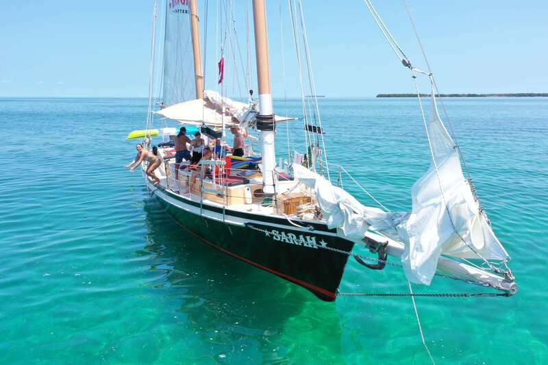 Key West Afternoon Sail, Snorkel, Kayak & Sunset Excursion - Wildlife moments: what you might spot on this route