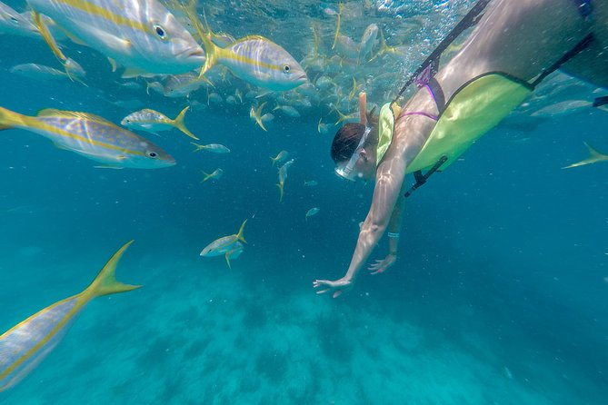Key West Afternoon Snorkel Sail with Unlimited Cocktails! - Cruise Out to the Florida Reef: Part View, Part Wait