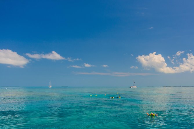Key West Afternoon Snorkel Sail with Unlimited Cocktails! - Reef Time: Gear, Safety Briefing, and Easy Snorkeling