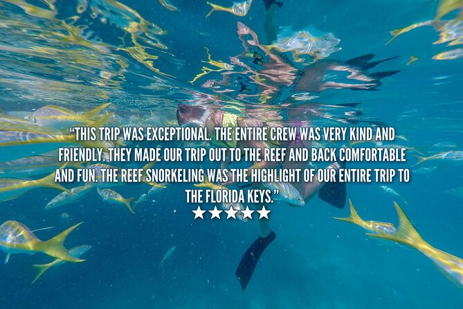 Key West Afternoon Snorkel Sail with Unlimited Cocktails! - Drinks on the Way Back: Open Bar, Rum Punch, and the Timing Quirk