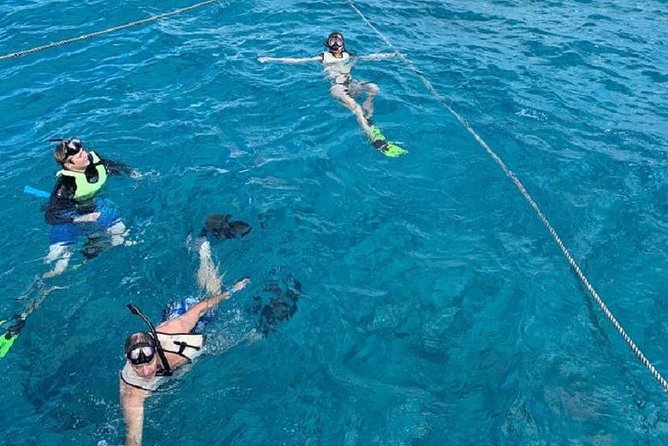 Key West Afternoon Snorkel Sail with Unlimited Cocktails! - Who Should Book This Snorkel Sail in Key West