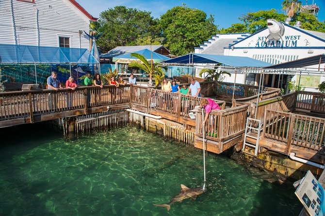 Key West Aquarium Admission - Atlantic Shores Exhibit: Mangroves, Big Fish, and a 50,000-Gallon Habitat