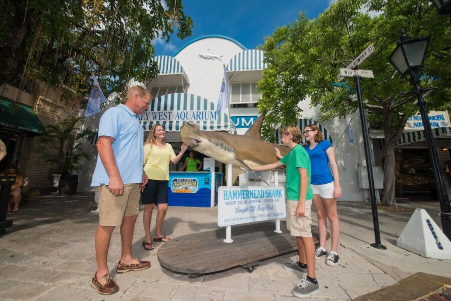 Key West Aquarium Tickets - What your $22 ticket includes (and why it feels like value)