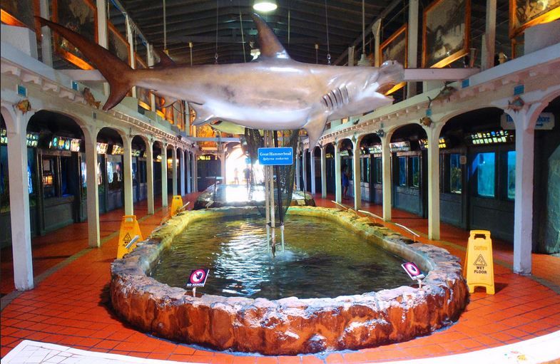 Key West Aquarium Tickets - Who should buy these Key West Aquarium tickets?