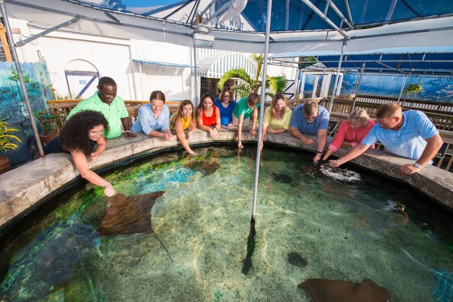 Key West Aquarium Tickets - Should you book Key West Aquarium tickets?