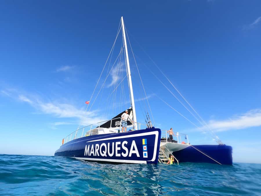 Key West: Catamaran Snorkel with Seafood Boil and Open Bar - Why this Key West catamaran snorkel with seafood boil hits a sweet spot