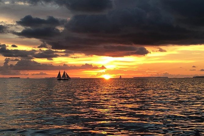 Key West Champagne Sunset Catamaran Cruise - Wildlife From the Water: Realistic Expectations