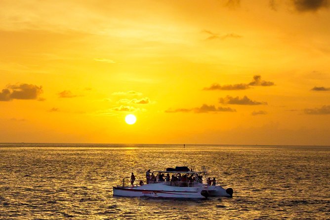 Key West Dolphin and Snorkel Experience - Quick Take: Who This Cruise Fits Best