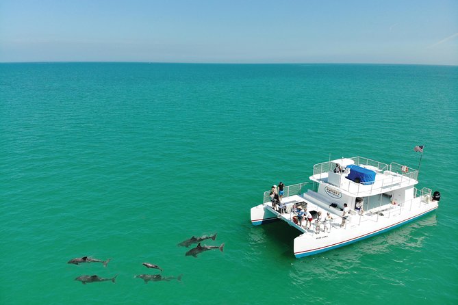 Key West Dolphin and Snorkel Experience - Key West Dolphin and Snorkel: What You Actually Get for $69.95