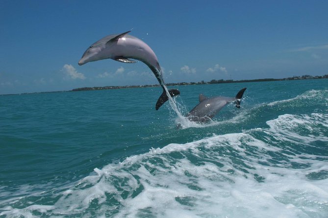 Key West Dolphin and Snorkel Experience - Drinks on Board: A Nice Extra, Not the Main Event