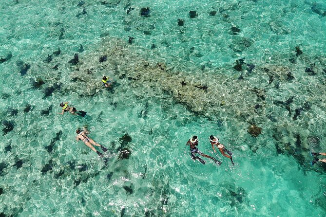 Key West Dolphin and Snorkel Experience - Step-by-Step: How Each Part of the Trip Feels