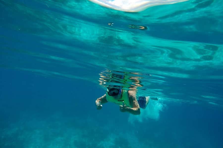 Key West: Dolphin & Reef Snorkel Trip with Sunset Option - Safety and crew vibe: how to judge the operation on the day