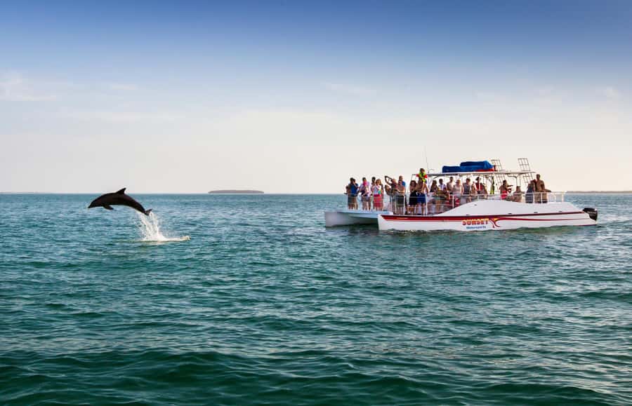 Key West: Dolphin & Reef Snorkel Trip with Sunset Option - Price and what you’re actually getting for $76
