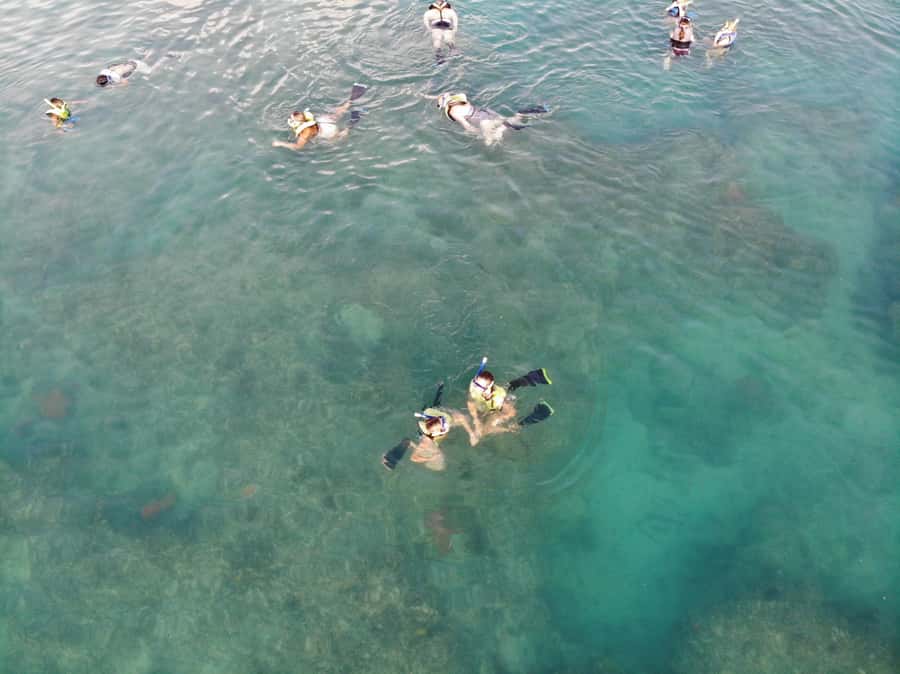 Key West: Dolphin & Reef Snorkel Trip with Sunset Option - Logistics that matter: meeting spot, timing, and group feel