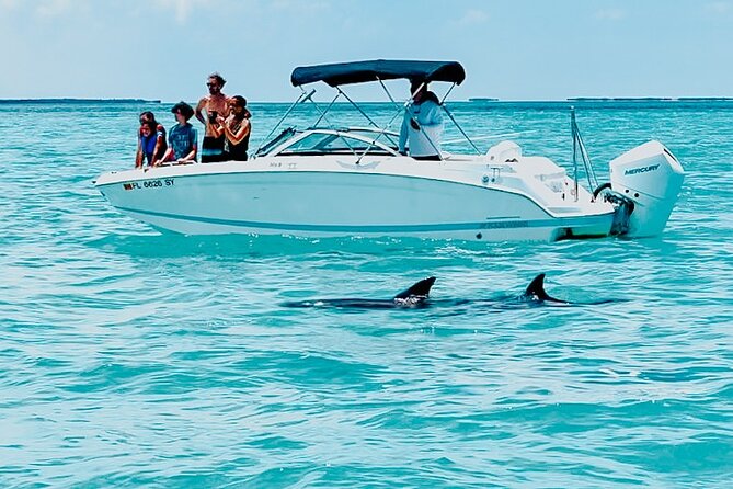 Key West Dolphin & Snorkeling Tour - Small Group - Key West Dolphin & Snorkeling Tour: The Stuff That Actually Matters