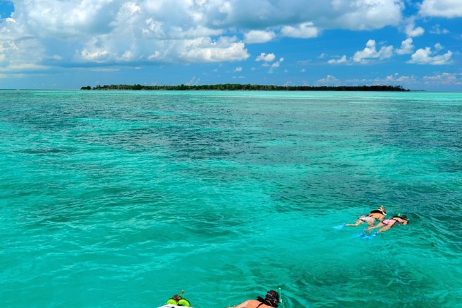 Key West Dolphin Watch and Snorkel Tour - Eco Adventure - Where the catamaran starts and what that means for your day