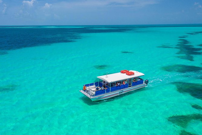 Key West Dolphin Watch and Snorkel Tour - Eco Adventure - Drinks on board: a nice perk, with one important rule