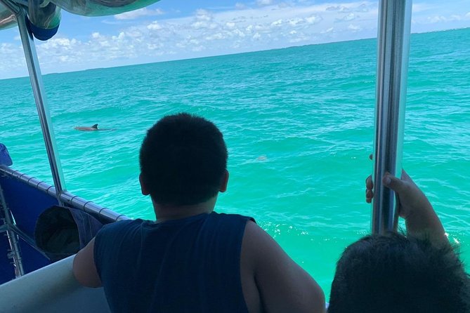 Key West Dolphin Watch and Snorkel Tour - Eco Adventure - What to bring: the stuff that saves your trip